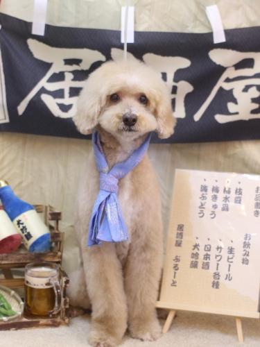 20240629アロマくん